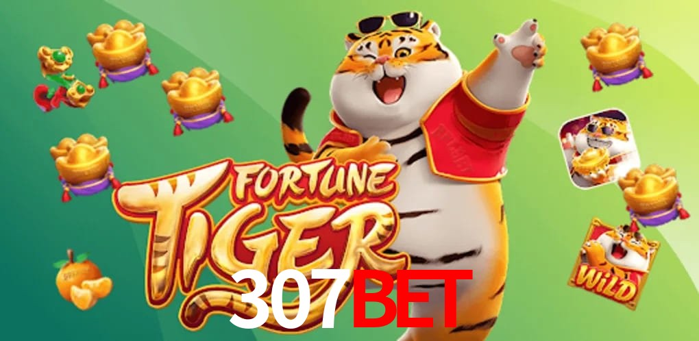 Experiência VIP 307BET